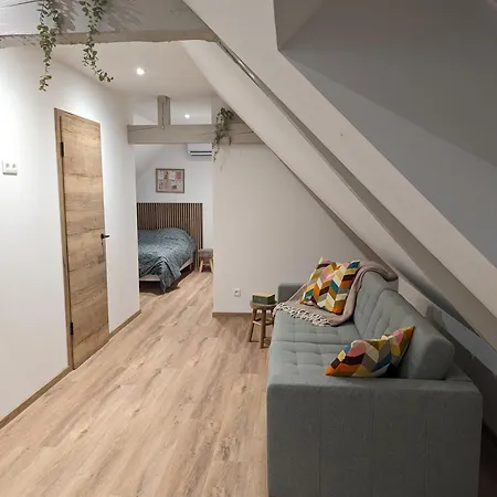 Le Cosy Neuf 20min Strasbourg Marlenheim
