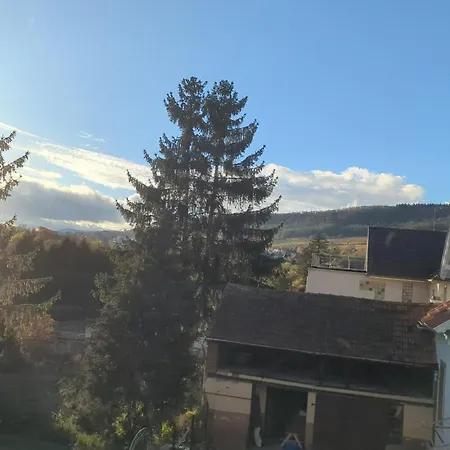 Apartamento Le Cosy Bus 230 Direct Marche De Noel 20min