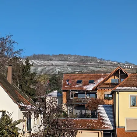 Le Cosy Neuf 20min Strasbourg Marlenheim