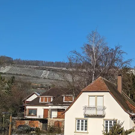Apartment Le Cosy Neuf 20min Strasbourg Marlenheim